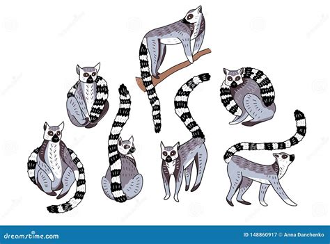 Cute Doodle Ring Tailed Lemurs Cartoon Vector