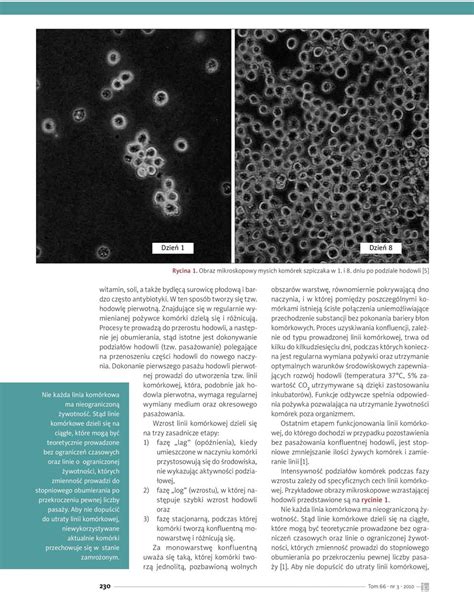 Zastosowanie Hodowli Kom Rkowych W Badaniach Biofarmaceutycznych Pdf