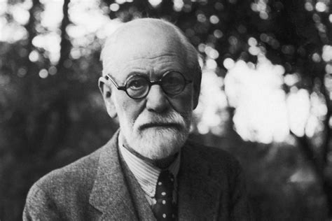 Freud on Sublimation - Three Components of the Human’s Psyche - Writing ...