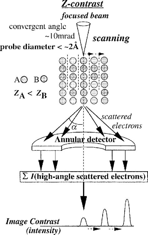 Schematic Illustration Showing The Principle Of The HAADFSTEM When The