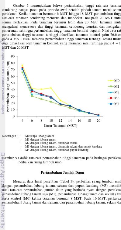 Perbaikan Ruang Tumbuh Umbi Uwi Dioscorea Alata L Dan Pengaruhnya