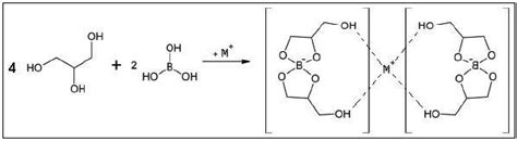 Diagram Of The Interaction Of Glycerol Boric Acid With A Metal Cation Download Scientific