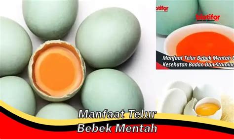 Manfaat Telur Bebek Mentah Jarang Diketahui Biotifor