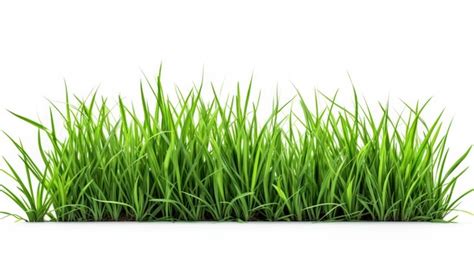 Premium Ai Image Green Grass On White Background Ai Generated