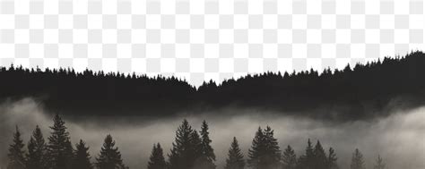 Foggy forest png border sticker, | Free PNG - rawpixel