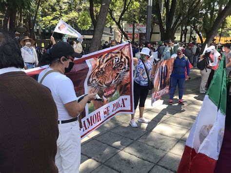 Simpatizantes De Amlo Se Manifiestan En Cdmx En La Marcha Del Millón