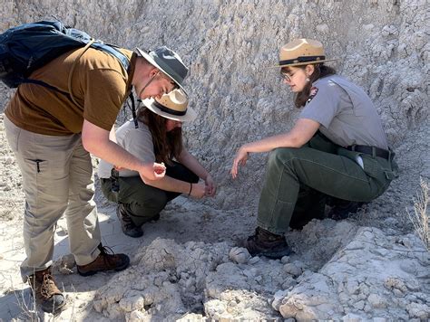 Fossil Hunting With The Rangers At Badlands National Park