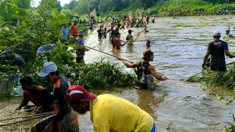 Pladu Ada Ribuan Orang Yg Datang Berburu Puluhan Ton Ikan Gratis Tiap