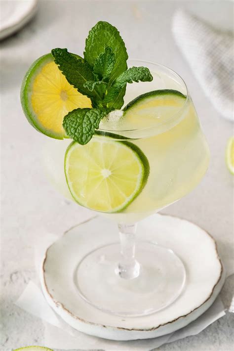 Mojito Recipe A Farmgirl S Dabbles