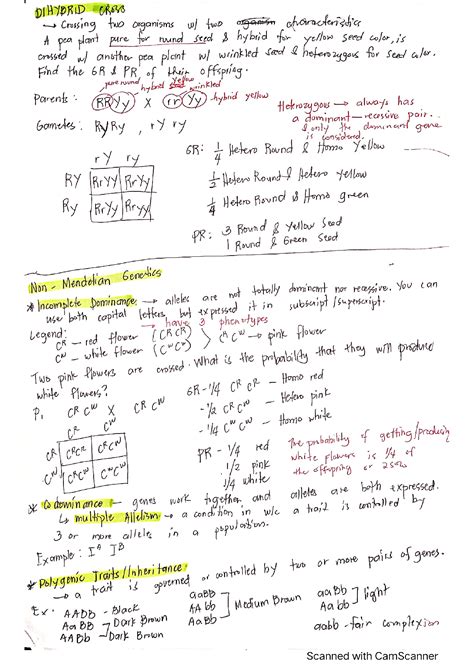 Solution Mendelian Genetics Studypool