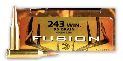 Best 243 Ammo For Hunting Deer, Hogs, & Varmints