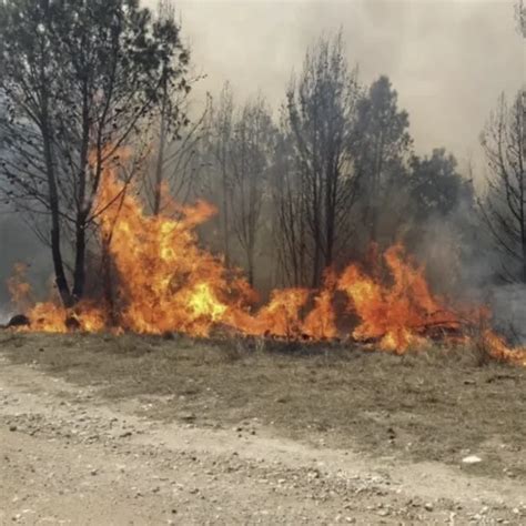 Incendios Forestales En Argentina Hay Focos Activos En Salta Y Buenos