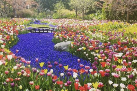 20 Best Michigan Gardens to Explore This Year