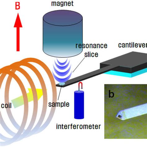 Pdf Nmr Spectroscopy For Thin Films By Magnetic Resonance Force