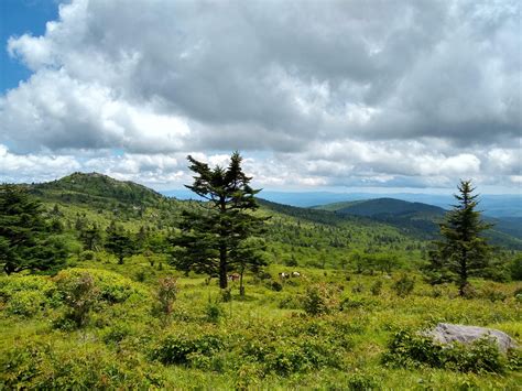 Grayson Highlands State Park 3 Hours From Charlotte Rcharlotte