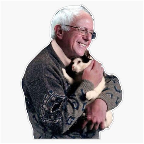 Amazon Tct Trading Bernie Sanders Cute Cat Campaign Picture