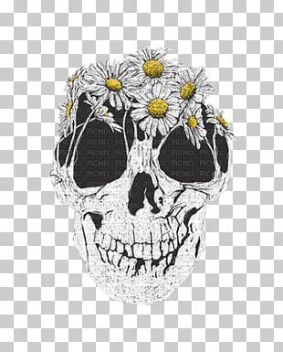 Human Skull Symbolism Calavera Bone Human Skeleton Png Clipart D