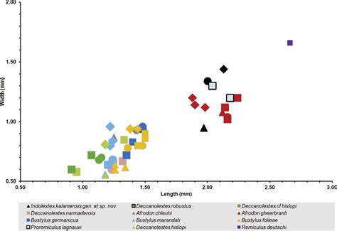 Bivariate Plot Showing Size Variations In The Lower Dentition Ultimate