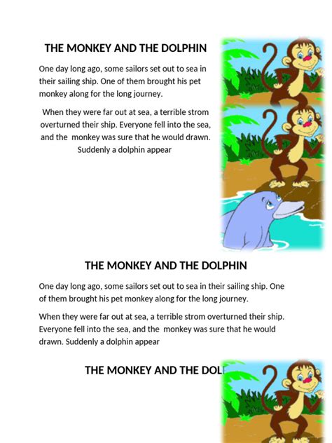monkey   dolphin  sailor ships