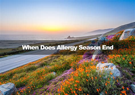 When Does Allergy Season End in 2024 in the US