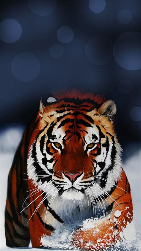 112 Wallpapers Mobile Hd Tiger free Download - MyWeb