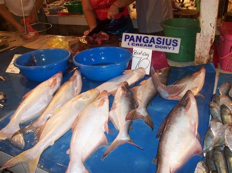 Dory Fish Fillet Malaysia Big Sales | www.pinnaxis.com