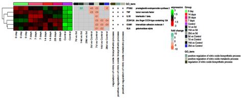 IJMS Free Full Text VEGFR And DPP IV As Markers Of Severe COVID 19