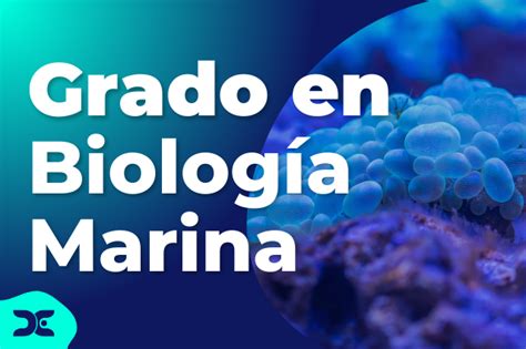 Grado en Biología Marina Centros Requisitos y Salidas Profesionales