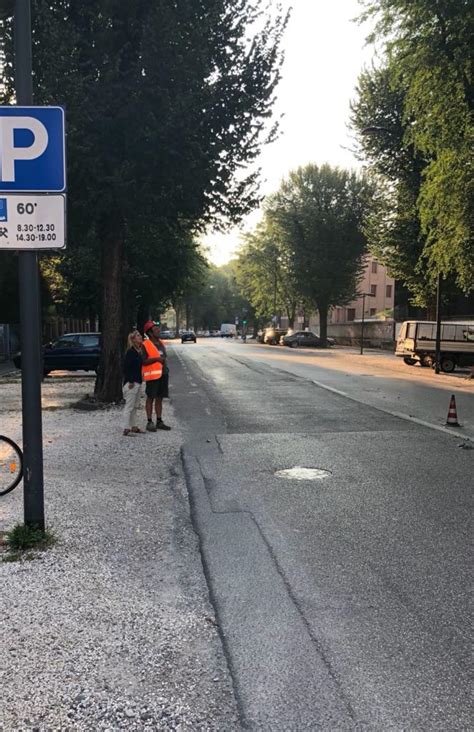 Viale Trento E Trieste Primi Tagli Agli Alberi Per Far Posto Alla