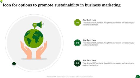 Sustainability Options To Promote Powerpoint Ppt Template Bundles PPT