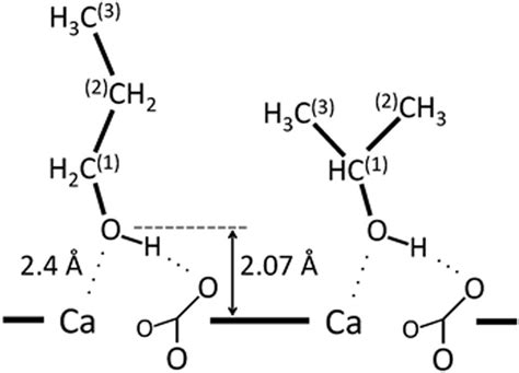 Coordination to the calcite surface for the two propanol isomers.... | Download Scientific Diagram