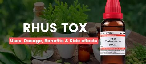 Rhus Tox M Uses Benefits Dosage Side Effects