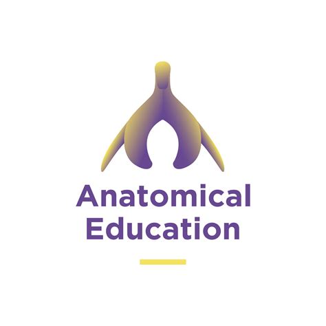 10 Models Anatomical Education