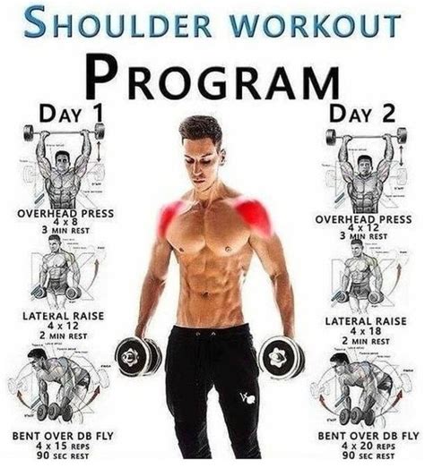 Shoulder Workout Program 💪 | Workout programs, Shoulder workout, Back ...