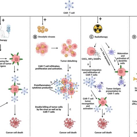 Possible Combination Therapies For Car Nk Cells A Combination Of