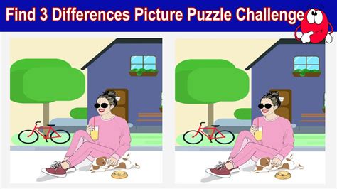 Find 3 Differences Picture Puzzle No13 Youtube