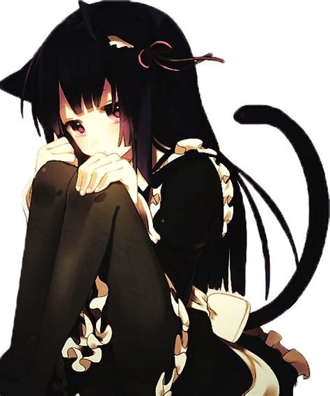 Neko Anime Black Hair