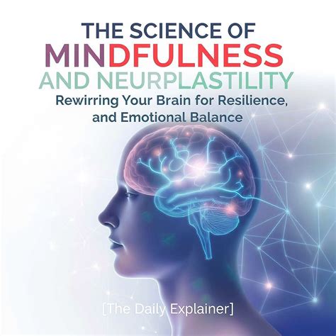 mindfulness neuroplasticity guide  rewire  brain  focus