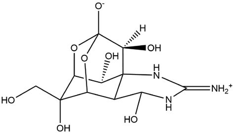 Bidimensional structure of tetrodotoxin. | Download Scientific Diagram