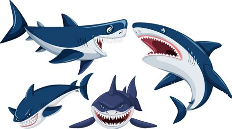 Conjunto De Personajes De Dibujos Animados De Tiburones 12495698 Vector