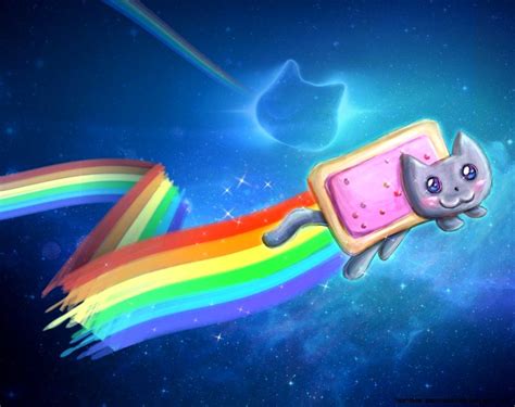 Rainbow Kitten Wallpapers Wallpaper Cave