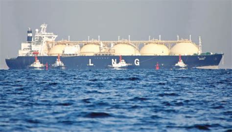 Govt To Procure Tonnes Of Fertiliser One Cargo Lng The