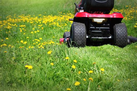 Cortador De Grama Do Trator Que Corta A Grama Na Primavera Foto De