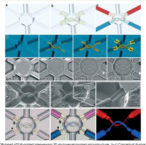 Figure From D Microfluidics Via Cyclic Olefin Polymer Based In Situ