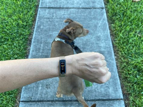 Fitbit Luxe Review | PCMag