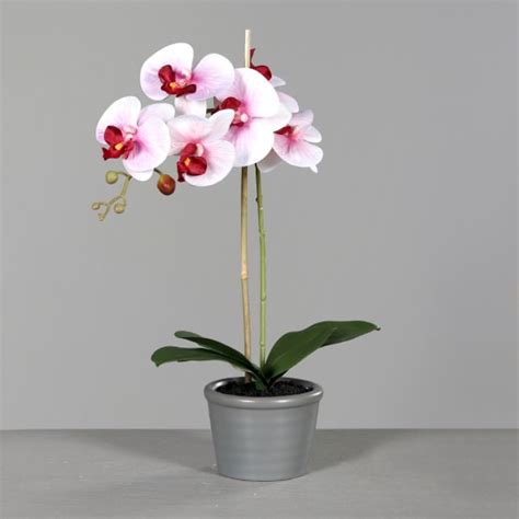 Orchidée blanc rose artificielle en pot céramique gris H 53 cm Gamm vert