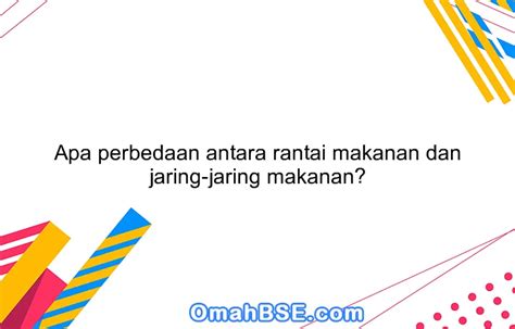 Apa Perbedaan Antara Rantai Makanan Dan Jaring Jaring Makanan Omahbse