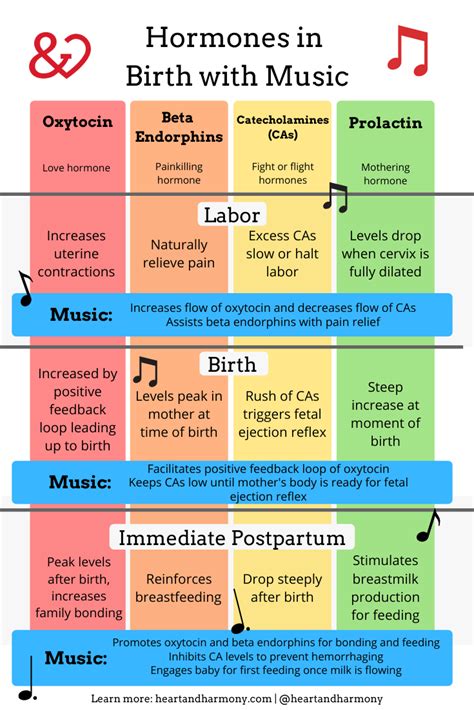 Classical Music In Incredible Infographics Artofit