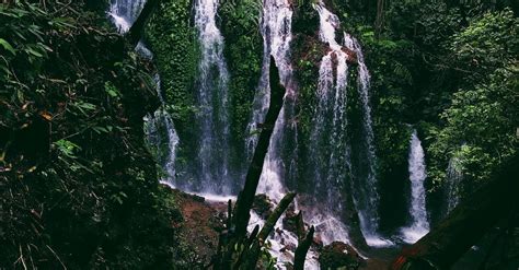 View of Waterfalls in the Jungle · Free Stock Photo