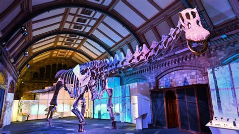 Massive dinosaur cast to go on display in London